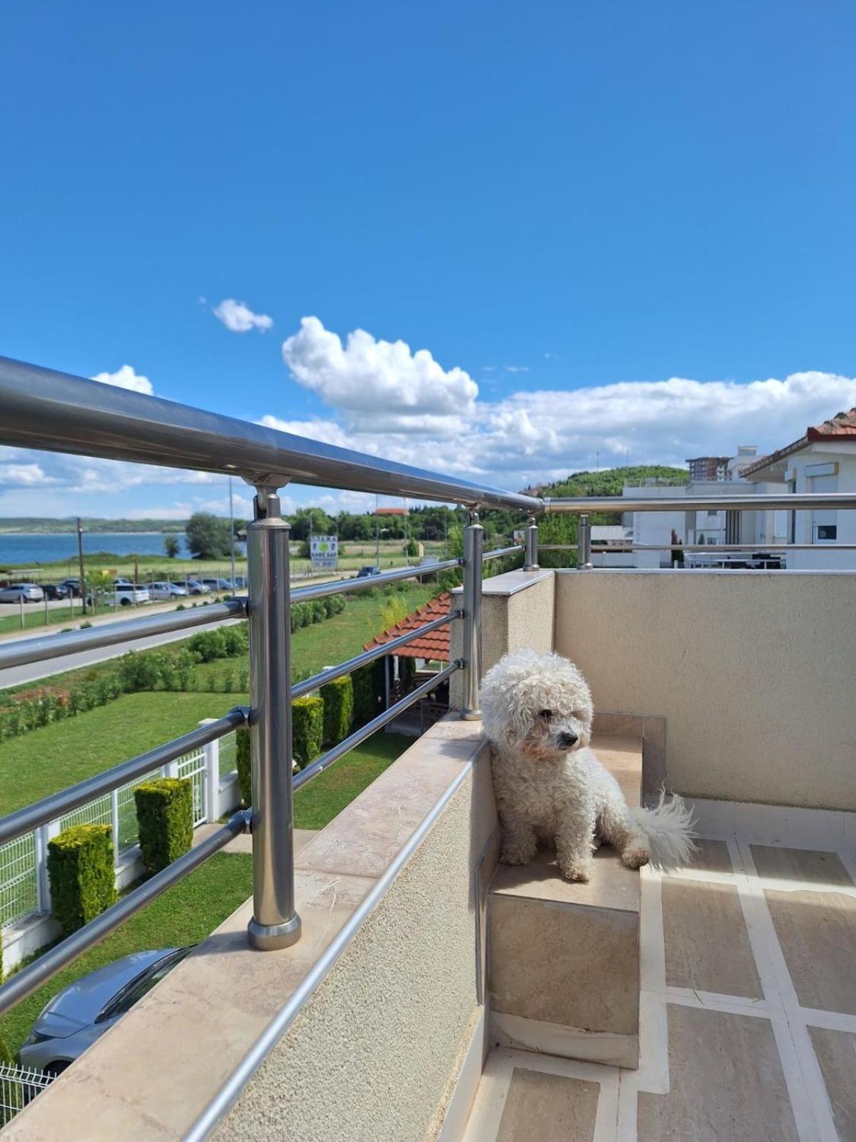 B&B Apartments Dojran Exterior photo